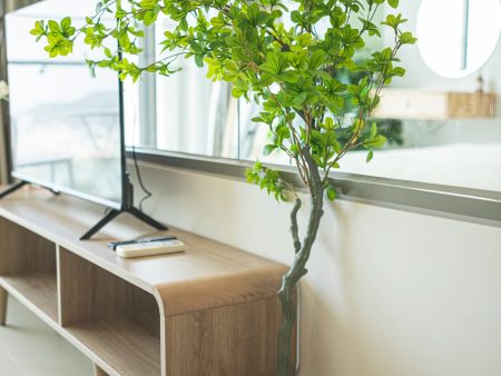 Alternative view of Mã căn 32.28 loại 2PN 53m2 sức chứa 3 lớn 2 bé